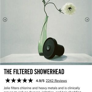 Jolie Filtered Showerhead Jet Black